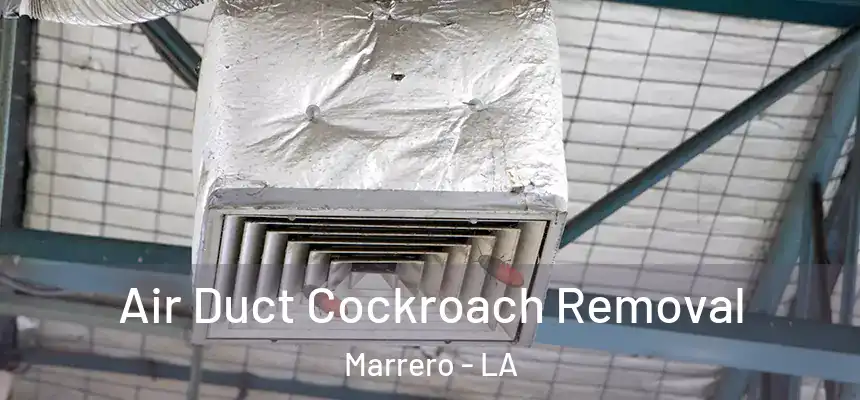 Air Duct Cockroach Removal Marrero - LA