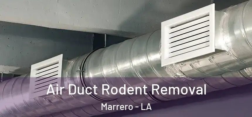 Air Duct Rodent Removal Marrero - LA