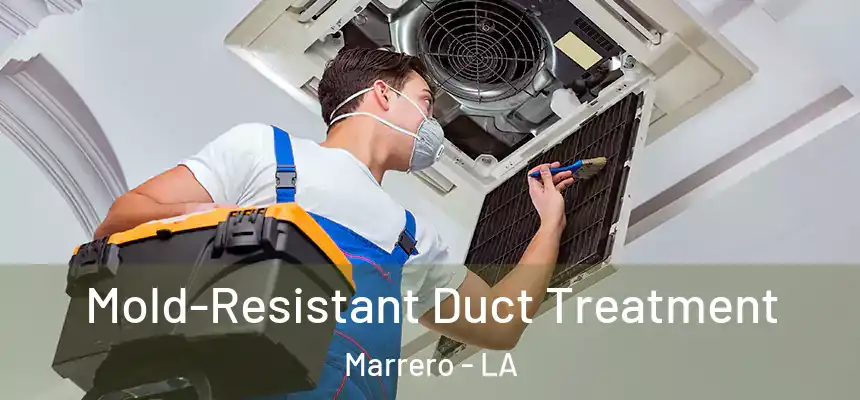 Mold-Resistant Duct Treatment Marrero - LA