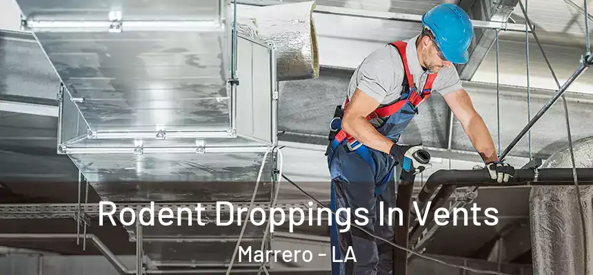  Rodent Droppings In Vents Marrero - LA