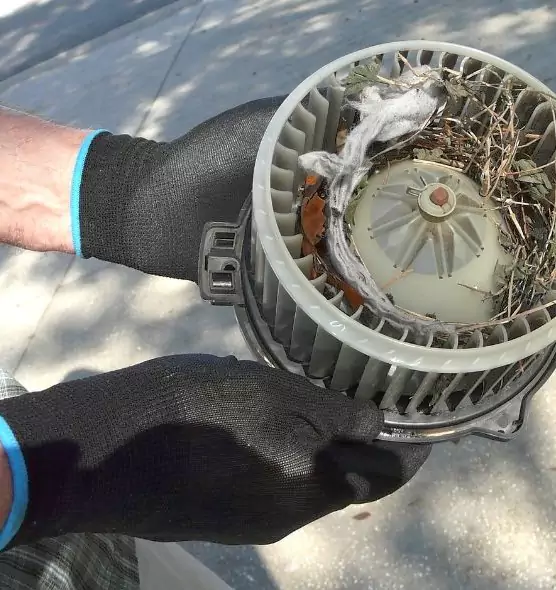 About Air Duct Mice Removal in Marrero, LA