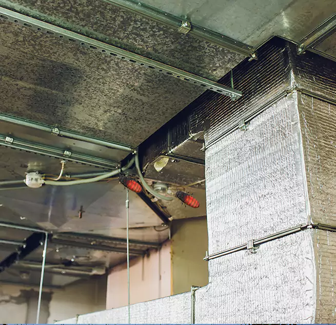 Why Homeowners & Businesses Trust Us in Marrero, LA?