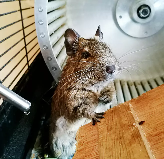 Why Homeowners & Businesses Trust Us Marrero, LA?