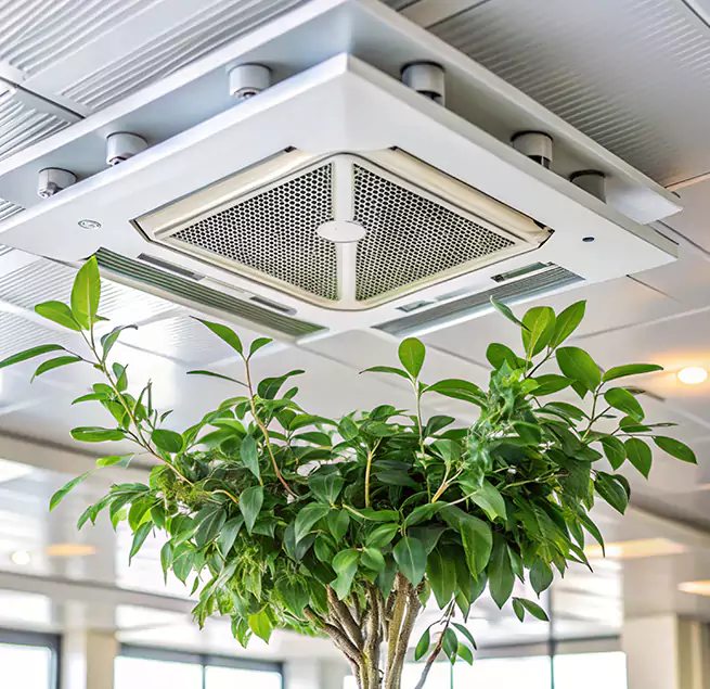 Why Homeowners & Businesses Trust Us in Marrero, LA?